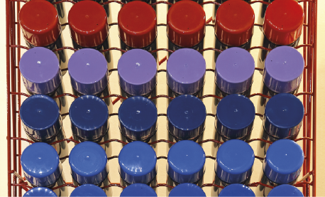 Conception couleurs peintures CDLC